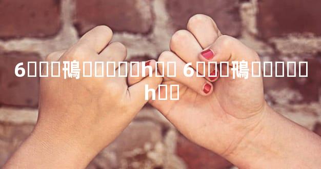 6���鳵����Ǯһ�� 6���鳵����Ǯһ��